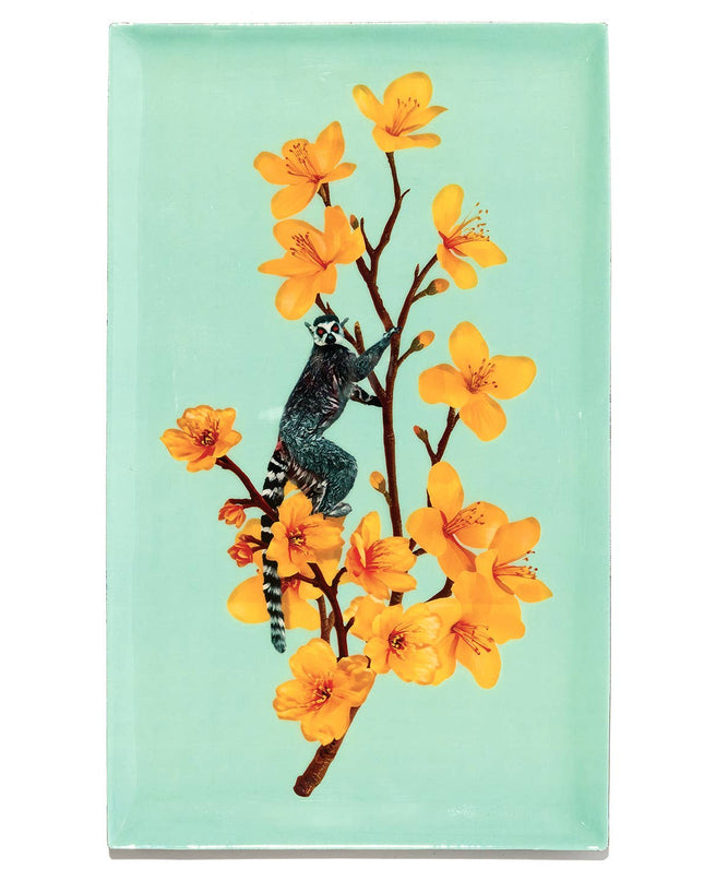 Plateau rectangulaire Lemy