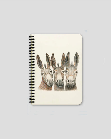 Carnets à spirales - Anes