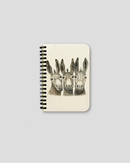 Carnets à spirales - Anes